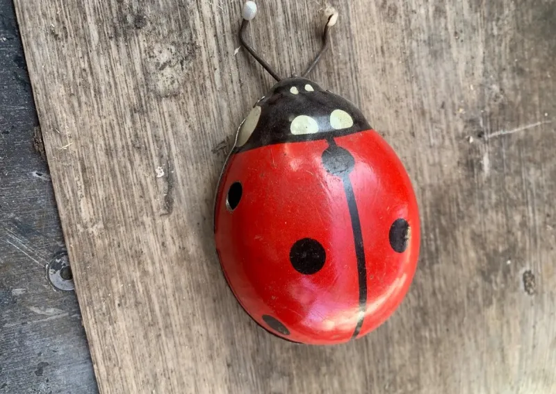 Beruška natahovací retro